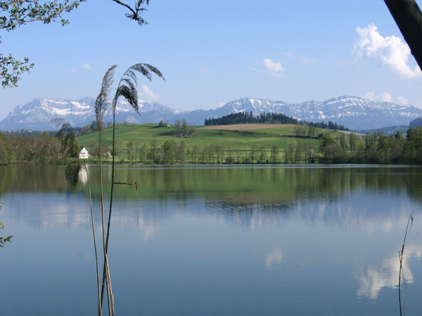 Soppensee